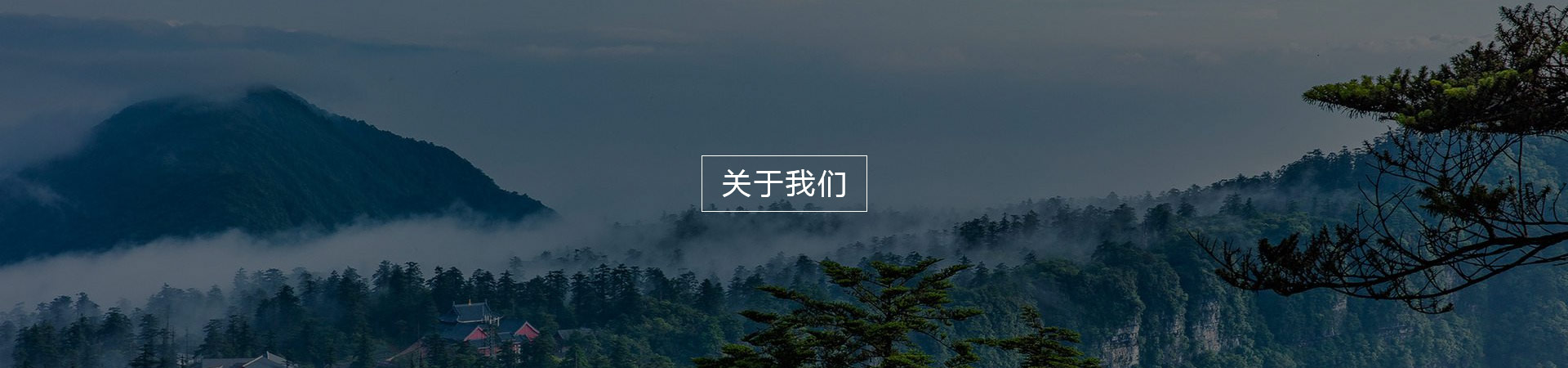 描述