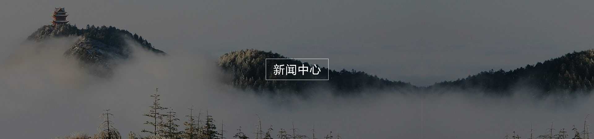 描述